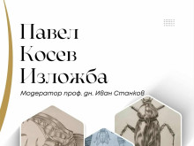 Изложба с кауза подреждат пред Художествената галерия във Велико Търново