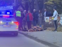 Ужасяваща гледка в центъра на Благоевград