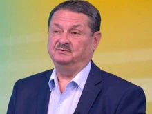 Професор Рачев: Не слагайте зелето!