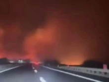 Огромен пожар избухна до Нови Сад: Разпространява се с висока скорост