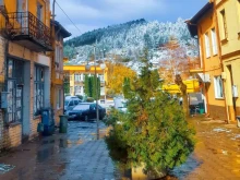"Следите на словото" водят към Бобошево