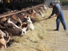 По сметките на близо 5400 фермери постъпиха над 25,4 млн. лева 
