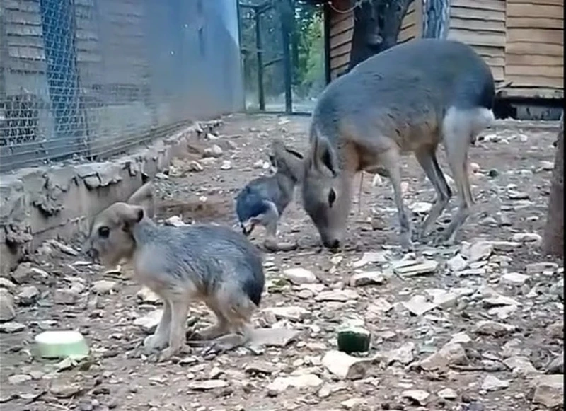 ���� ���������� � �������������� ������� � ����� ������