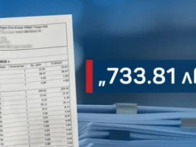 ������� ����� 733 ��. �� 6 ���� ������� � �������� ���������