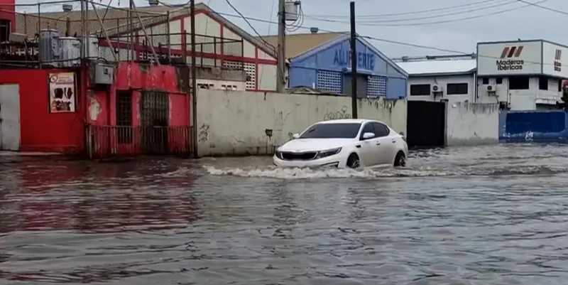 ������������ ���� "������" ���� ������ �� ����� ���� � �����