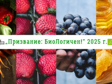 Министерството на земеделието и храните продължава да насърчава биологичното производство