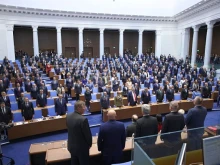 Сатирик: Депутатите се хапят едни други като разярени питбули на арената, наречена парламент