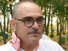 Производители от Пловдивско: Пчелите умират, плодовете изчезват, руши ce природният баланс в България