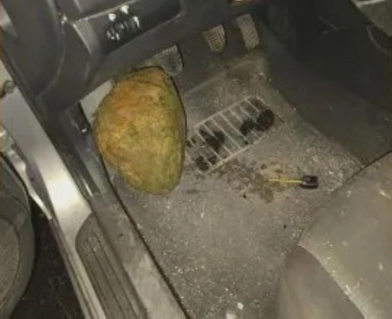 ������� ����� ����� ����� ������ �� ��������� �� ���� ������� - �����