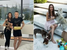 Милионер купува още земя заради кучетата на гаджето си