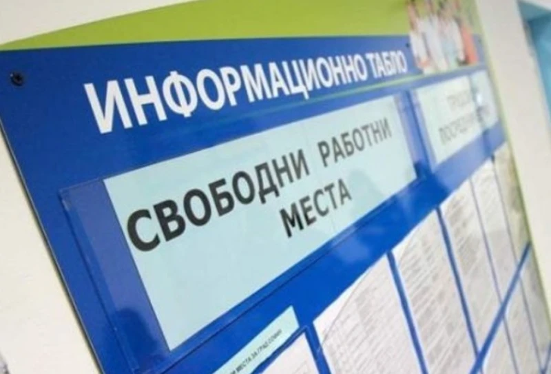 Пазарът на труда: Разликата между София и Пловдив в обявите за търсене на работа е 39% към 9%