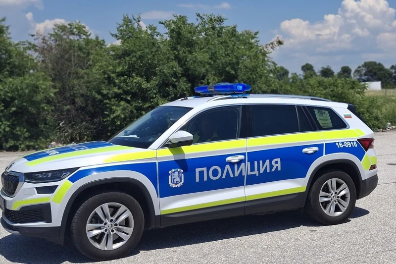 Подреждат "жива пешеходна пътека" в Пловдив