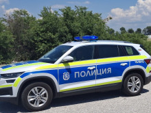 Подреждат "жива пешеходна пътека" в Пловдив