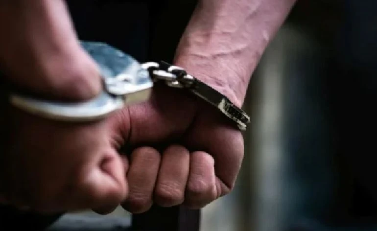 В Пловдивско е регистрирана странна кражба на богат на витамин С плод