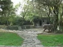 Приключват с работата по обновяването на езерото с мечката