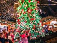�� �� ������� ������� �����: � ���� ������ ������ ������ � ����� �� ��������� �� �� �������� �� ������� ���������
