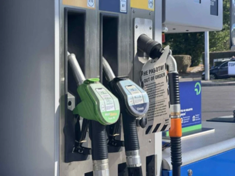 ���������� �� ��������������: ��� ���� 2-3% �� ��������� ��������