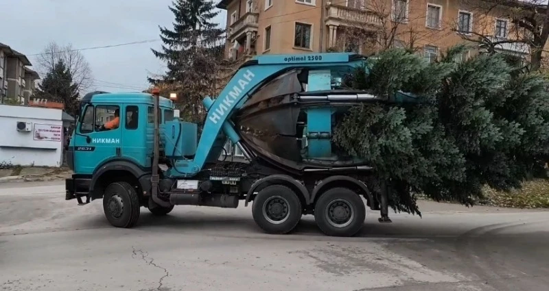 17-годишна ела спасиха в Горна Оряховица, операцията отне 3 часа