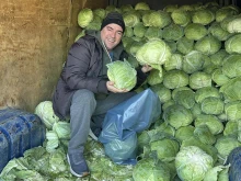 Иван Звездев: Зелето няма да втаса, ако солта е малко. Идеалната формула е 3,5% на 10 литра вода