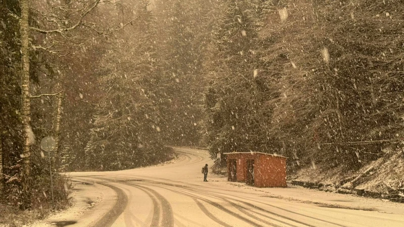 Meteo Balkans с предупреждение: Очаква се снежна гръмотевична буря 