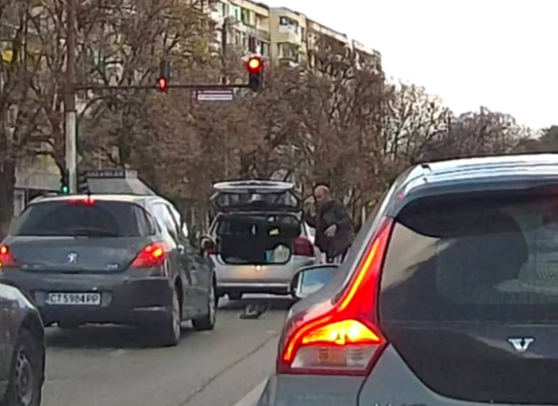 Мъж изхвърли коте от колата си, докато чака на червен светофар в Казанлък
