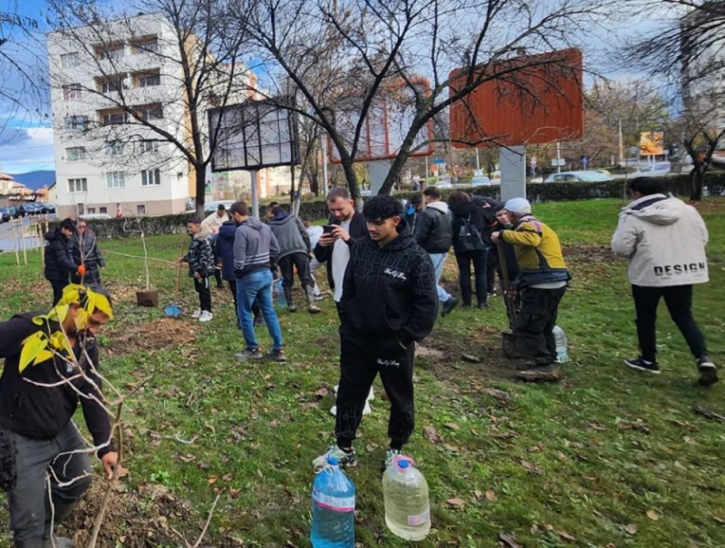 В Кюстендил засаждат 200 нови дървета