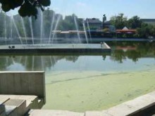 Общината: Проблемът със зеленясването на водата в Пеещите фонтани ще бъде решен 