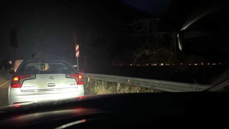 Възстановено е движението по пътя Асеновград – Чепеларе, в участъка на катастрофата