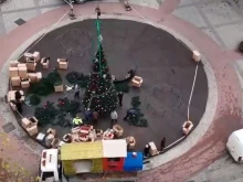 В Пловдив започна издигането на коледната елха в центъра на града