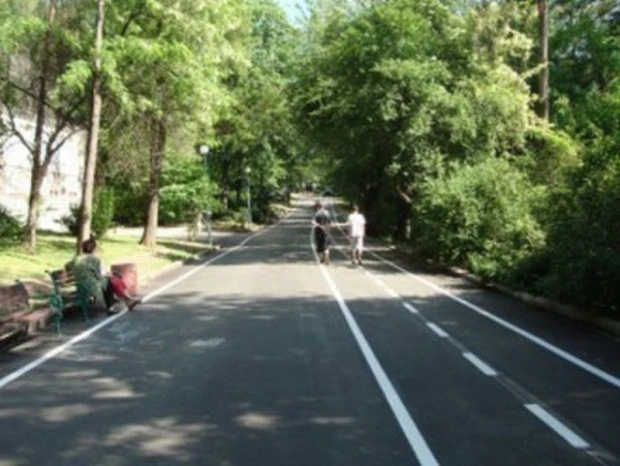 Санитарна сеч на Бунарджика