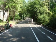 Санитарна сеч на Бунарджика