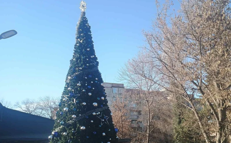 Палят светлините на елхата в "Южен"