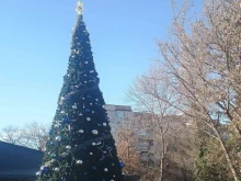 Палят светлините на елхата в "Южен"