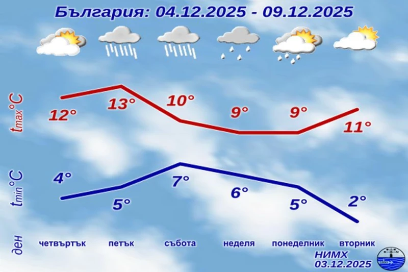 ����: ���� ����