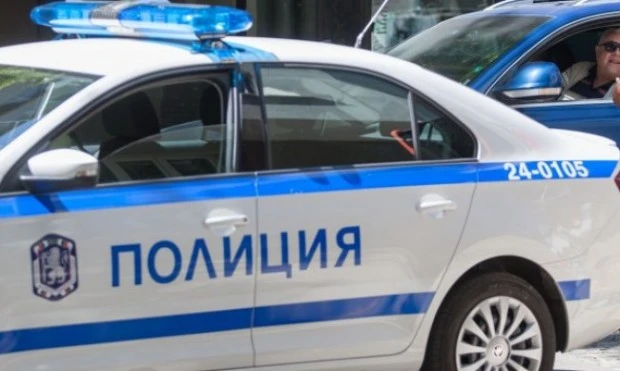 Полицията в Русе разследва кражба на куче, мотоциклет и повреждане на кола
