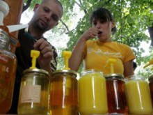 В България има уникални видове мед, според специалист