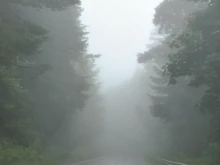 До 12 градуса днес, ще има мъгли