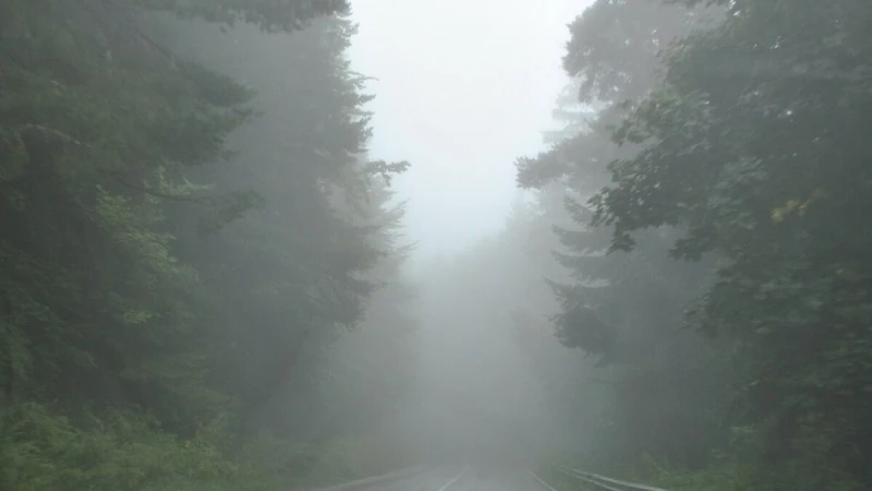 ����: �� 12 ������� ����, �� ��� �����
