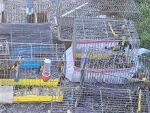 Търговци избягаха от Руския пазар минути преди проверка