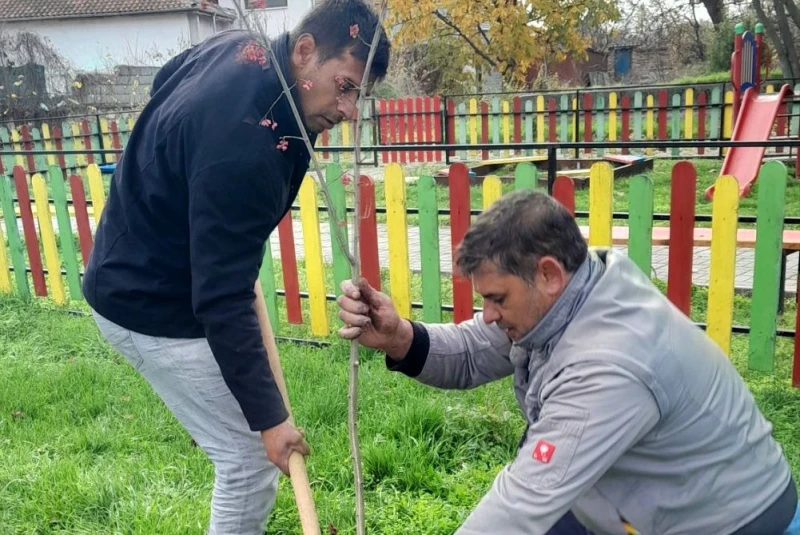 Община Асеновград приключи успешно кампанията за безвъзмездно раздаване на дървета