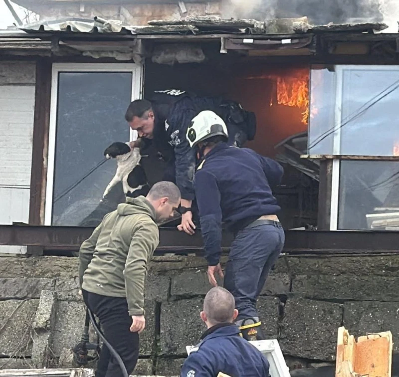 Пожарникари спасиха животни, озовали в огнен капан в "Банево"