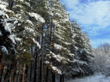 Meteo Balkans:������������� �� ���� ������ �������� �� 90%