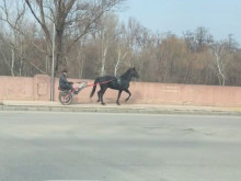 Новините от Пловдив, които не биваше да пропускате през март
