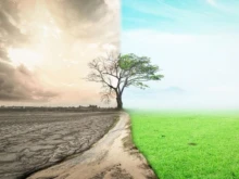 Meteo Balkans: ���� � ������ ������ - ������ � �������������