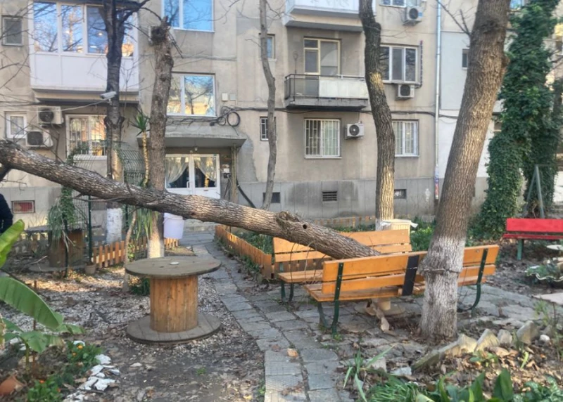 Цяло чудо е, че няма пострадали след неприятен инцидент в Пловдив