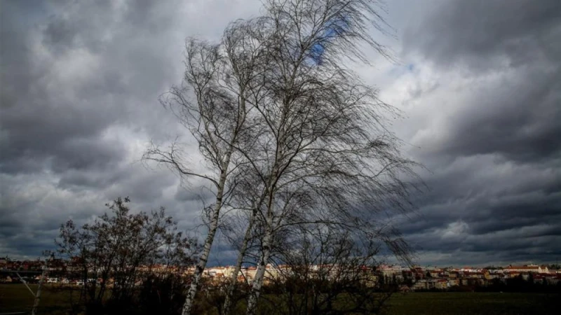 Вижте къде е най-силен вятърът днес