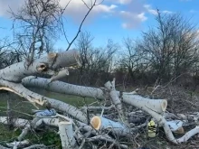 ���������� ����� ������ �������� ����: ������� ������� ��������� �����, ���������� �������������� � ��������� ������� ����������