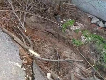 ������ �� ����������� ���� ���������� ������� �� ������� ����� ������������