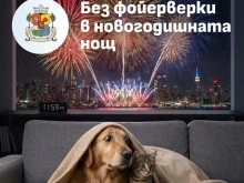 �������� ������ � ������: ���� �������� �� ���-���������, ��������� ���� �� ���� ������ � ��� ���