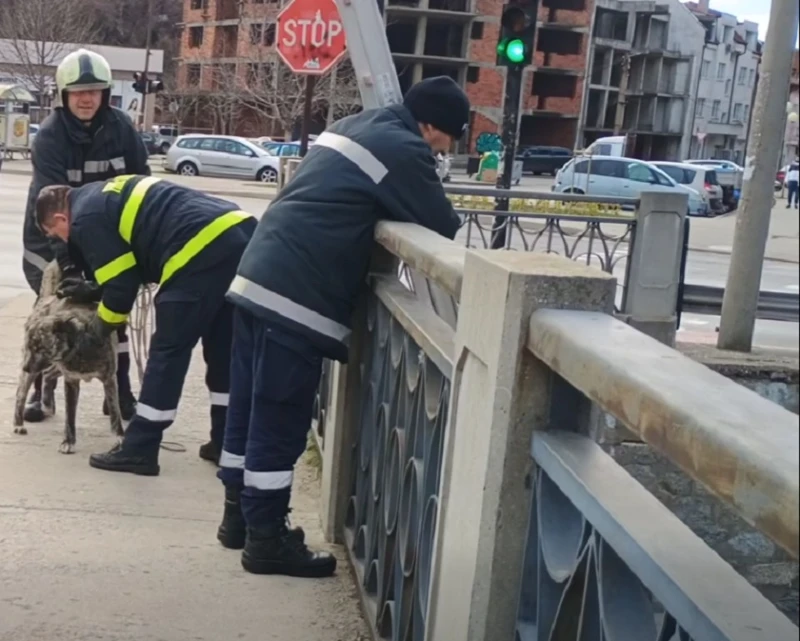 Спасителна акция в коритото на река Джерман в Дупница